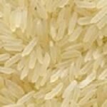 Basmati