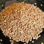 Fenugreek